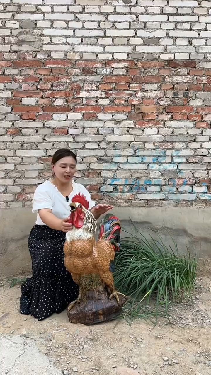 这个大公鸡颜色漂亮适合空间雅室陈设