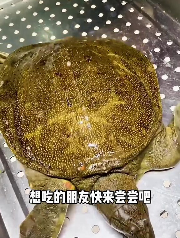 之前他们家生意就超级好,没想到还出了新菜鹅汁捞饭