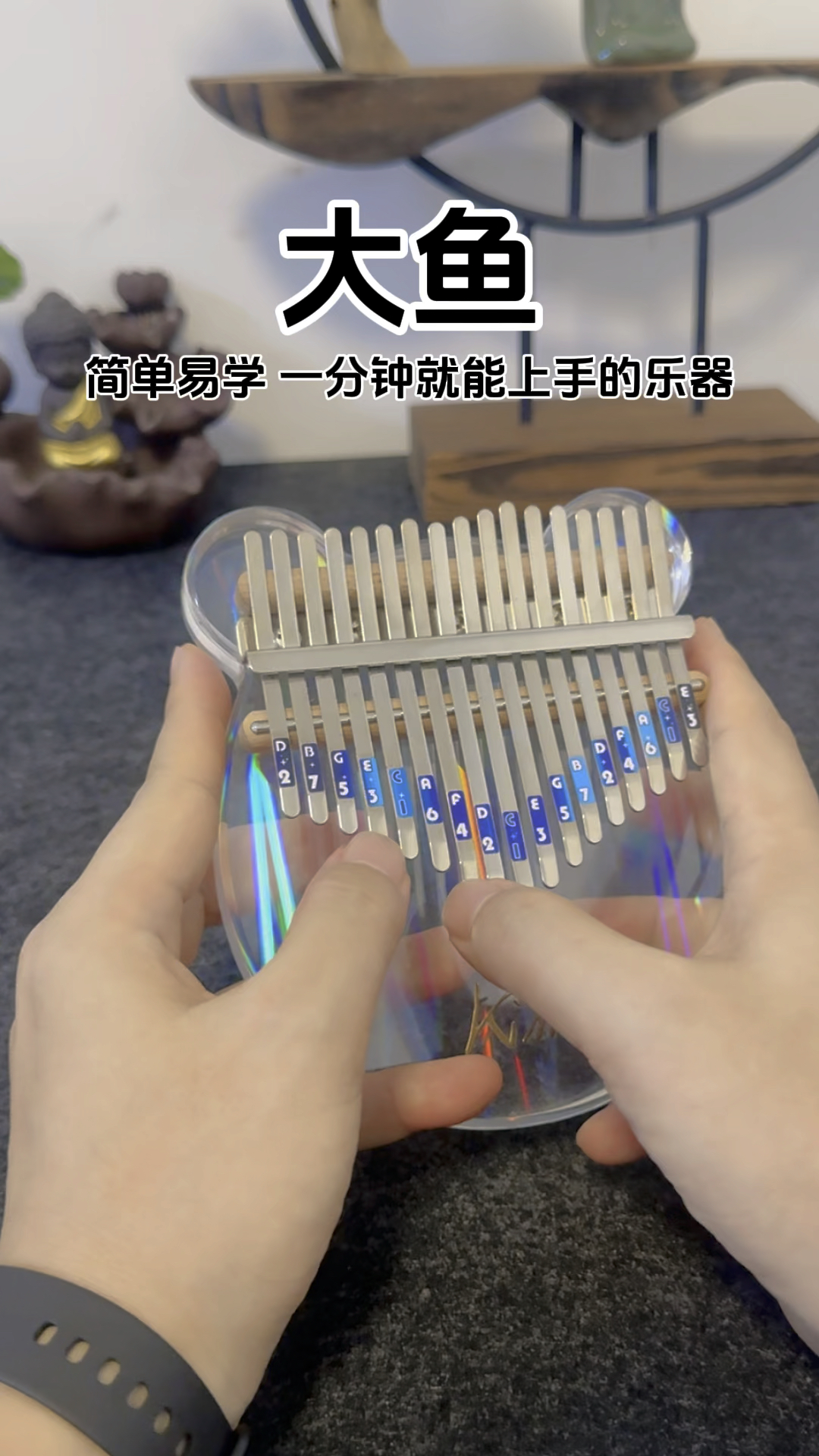 Kimi彩虹小熊拇指琴『大鱼』简单易学