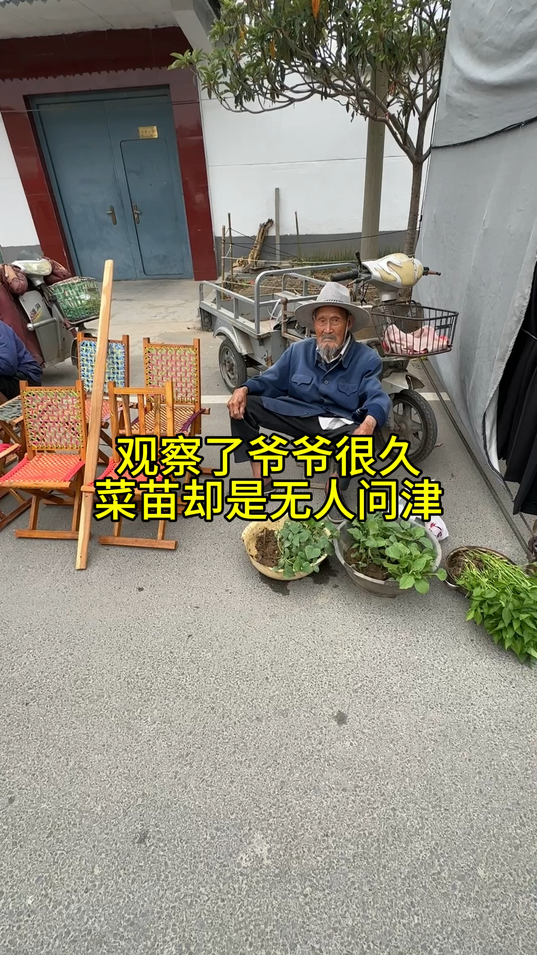 我把爷爷菜苗买完,让他早些回家