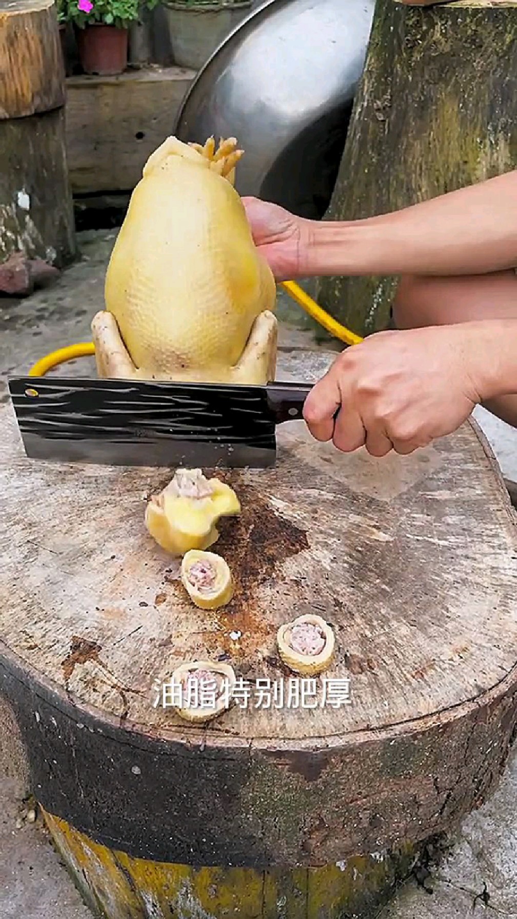 这才是农村的散养三黄鸡,肉质鲜美