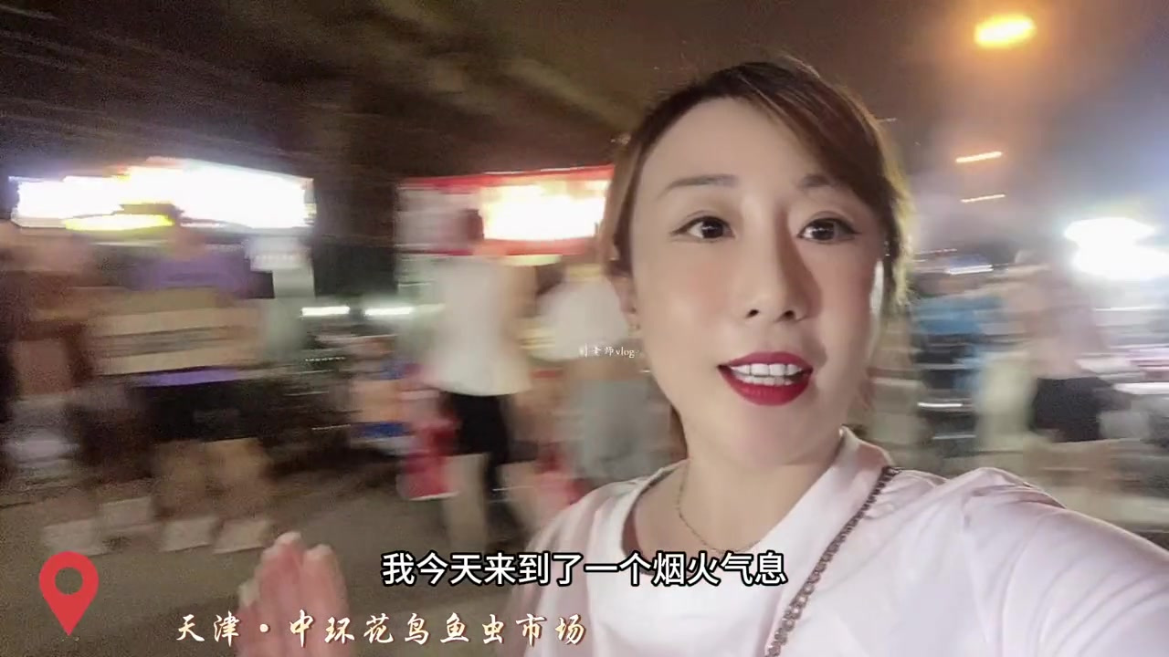 中环花鸟鱼虫市场,烟火气息十足,不仅有各种小吃,还有很多可爱