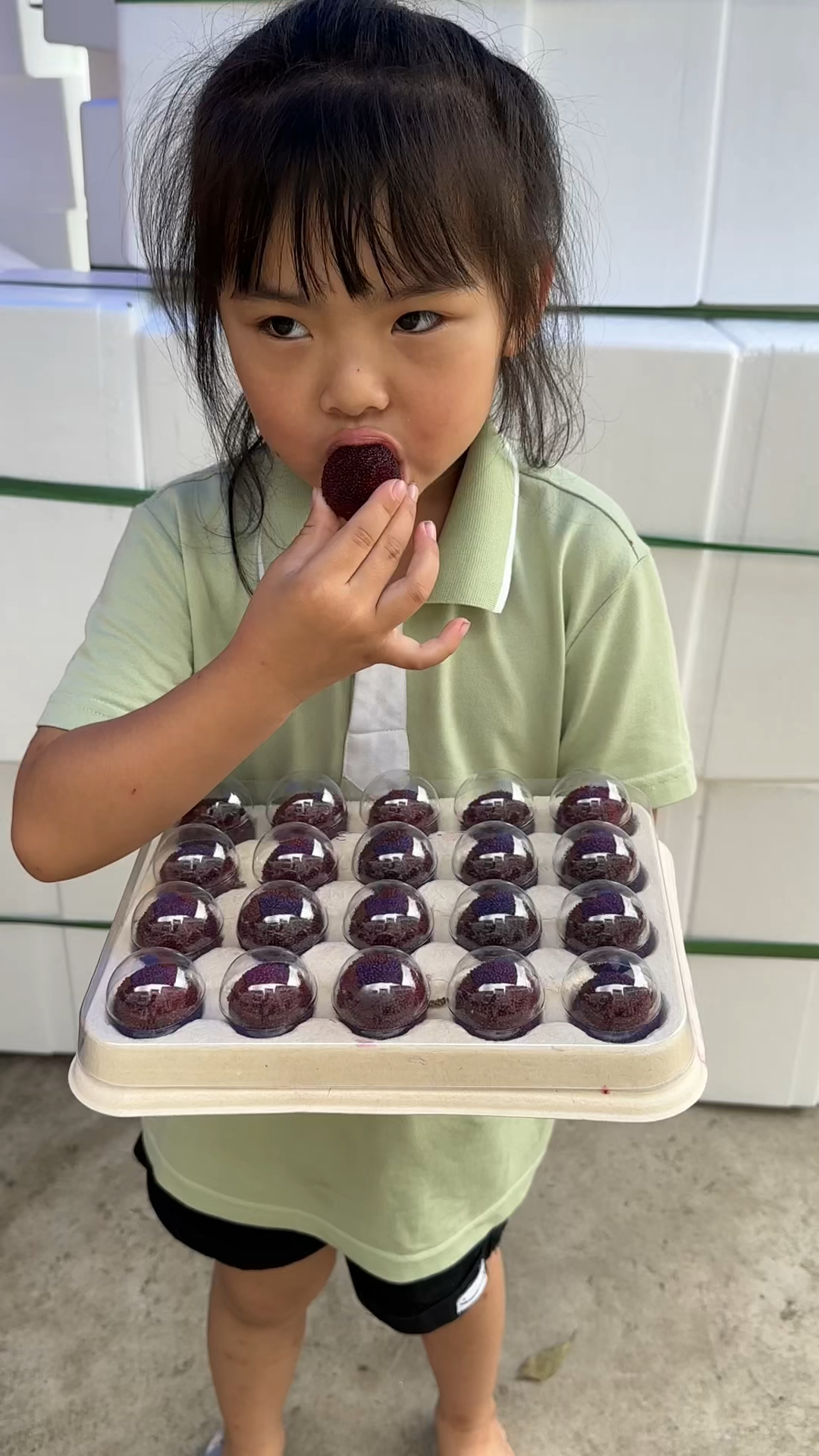 小孩子都爱吃的杨梅超甜,一口爆汁。正宗的仙居东魁杨梅一年一次