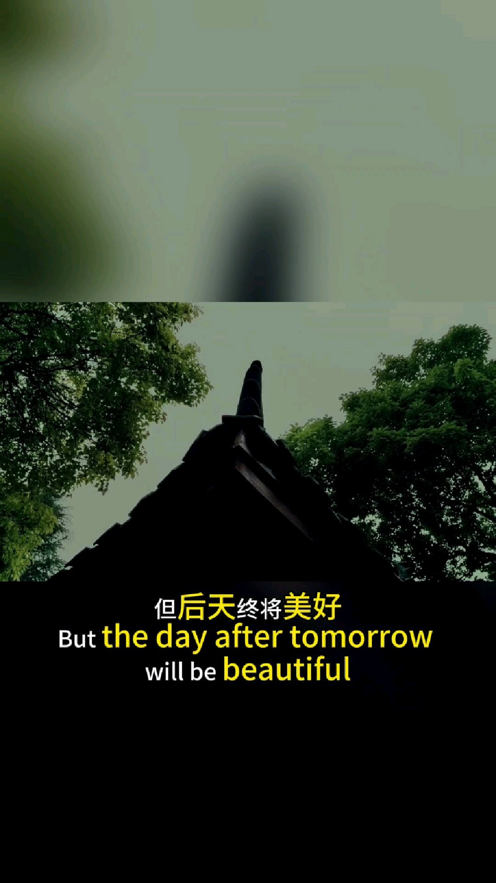 生活是枯燥的,快乐是自己给的,乐观和爱,才是生活的解药