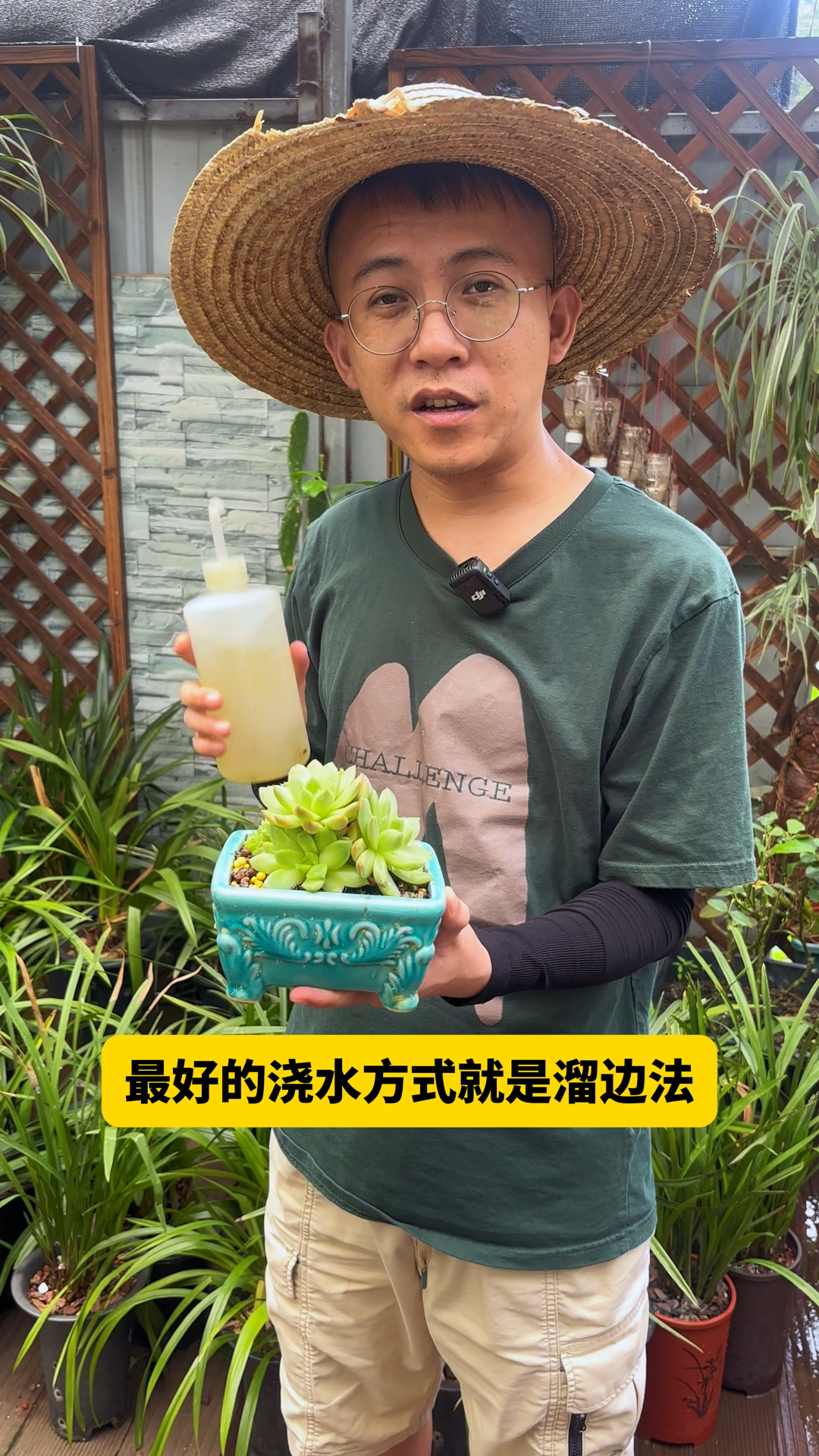 夏天养多肉正确的浇水方式