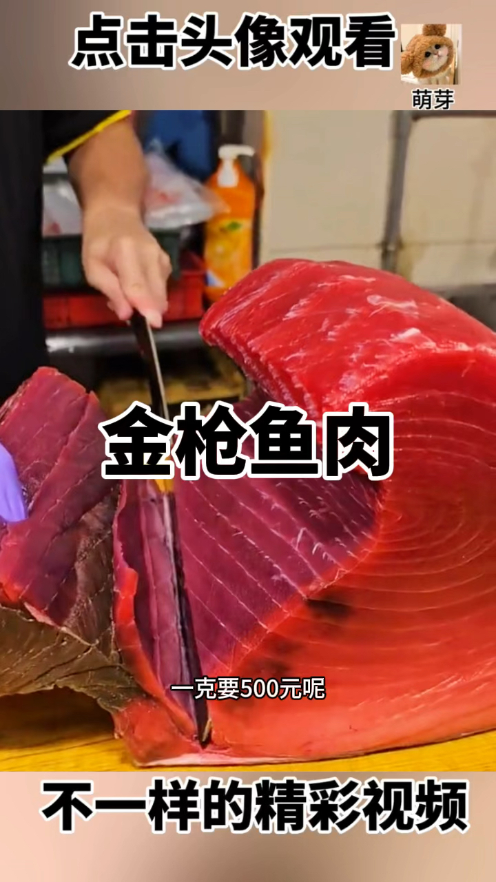金枪鱼肉,太奢侈了