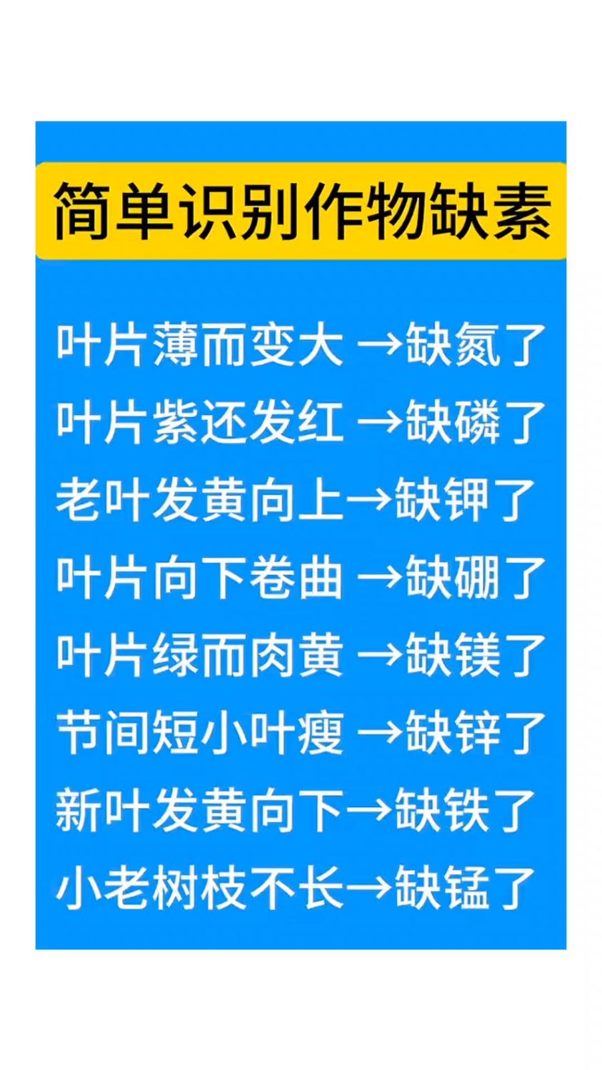 农作物缺素都有哪些症状?服务三农