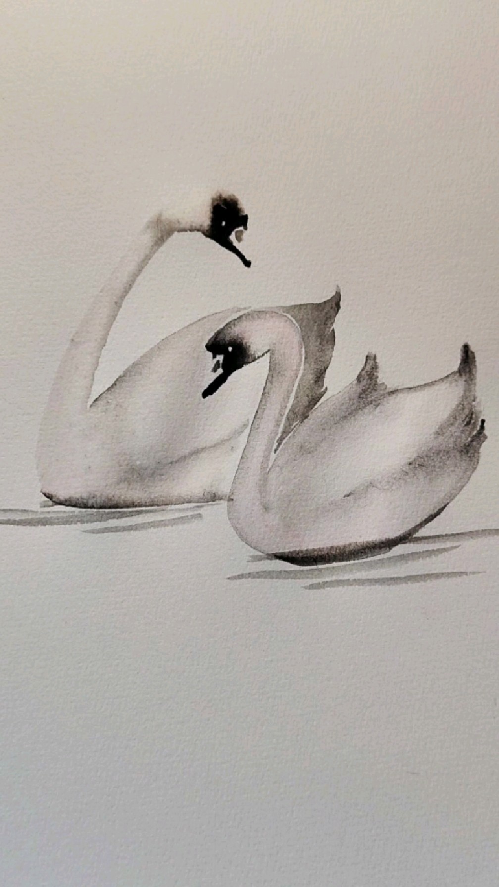 水墨画白鹅,一起画吧!