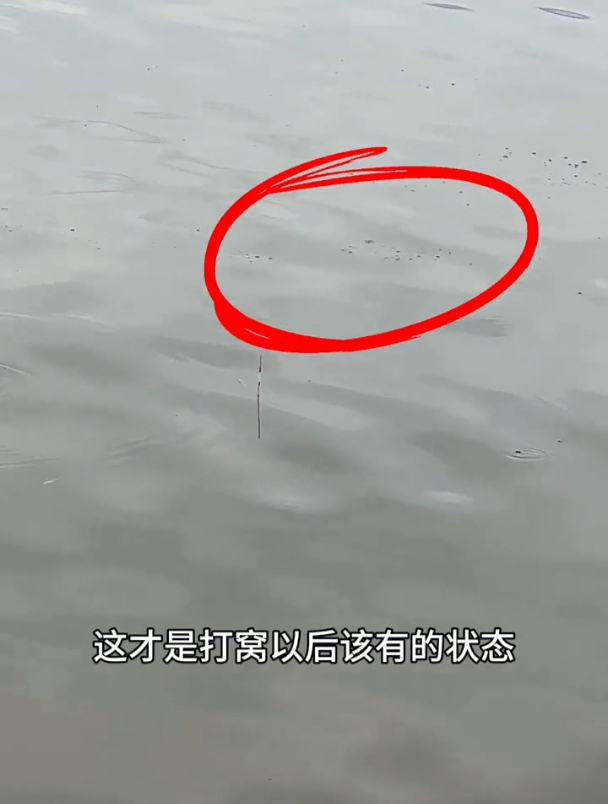 刘志强谷子大师方块饵聚鱼效果如何?钓友现场实测!
