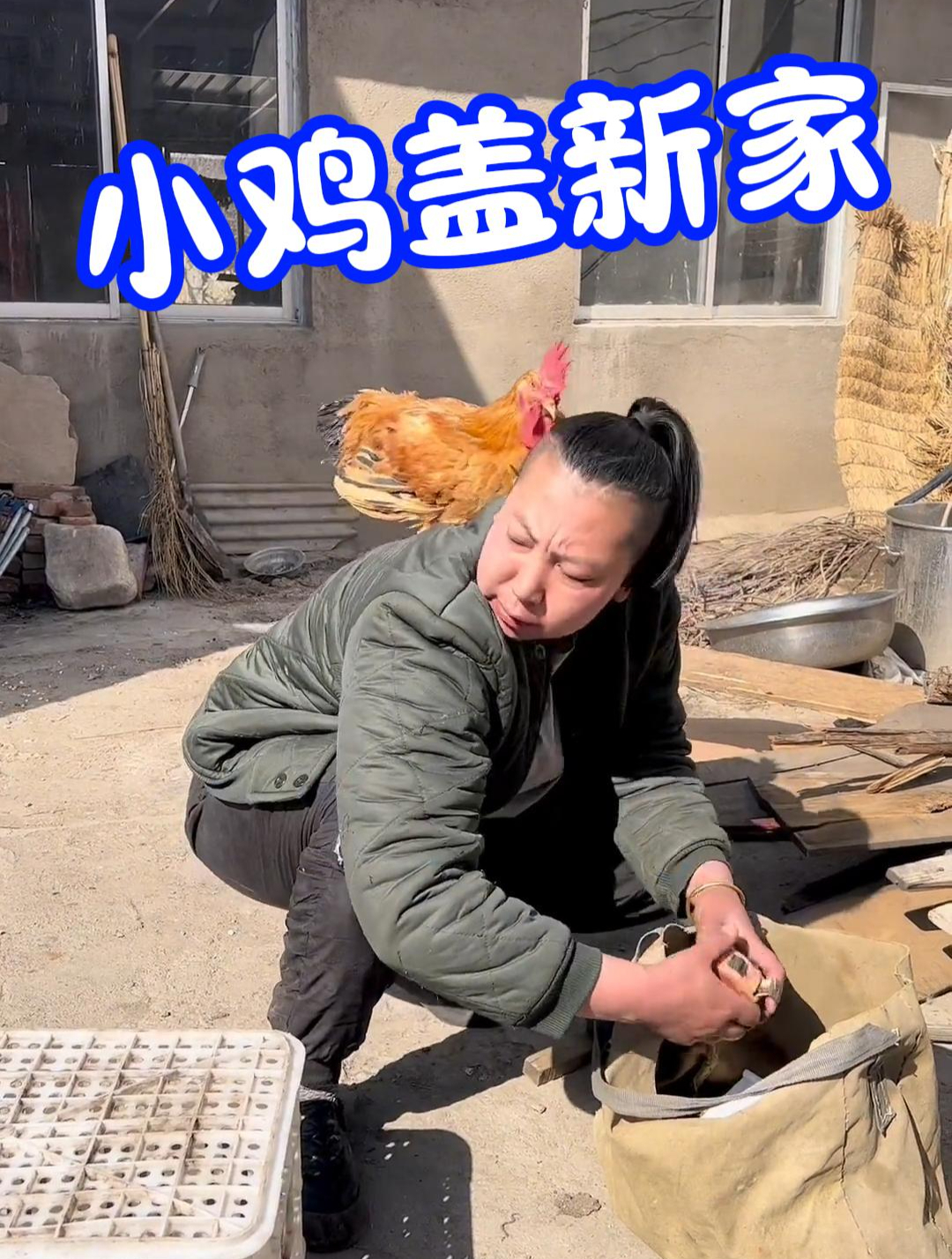 给家里小鸡纬个栅栏做个房子,老蒯一干活就浑身难受