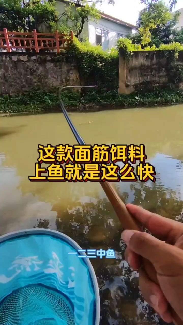 溪流秘制饵料,作钓溪流里面桃花鱼石斑鱼马口鱼等各种小鱼