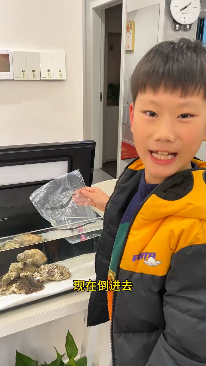 我的小丑鱼到啦!