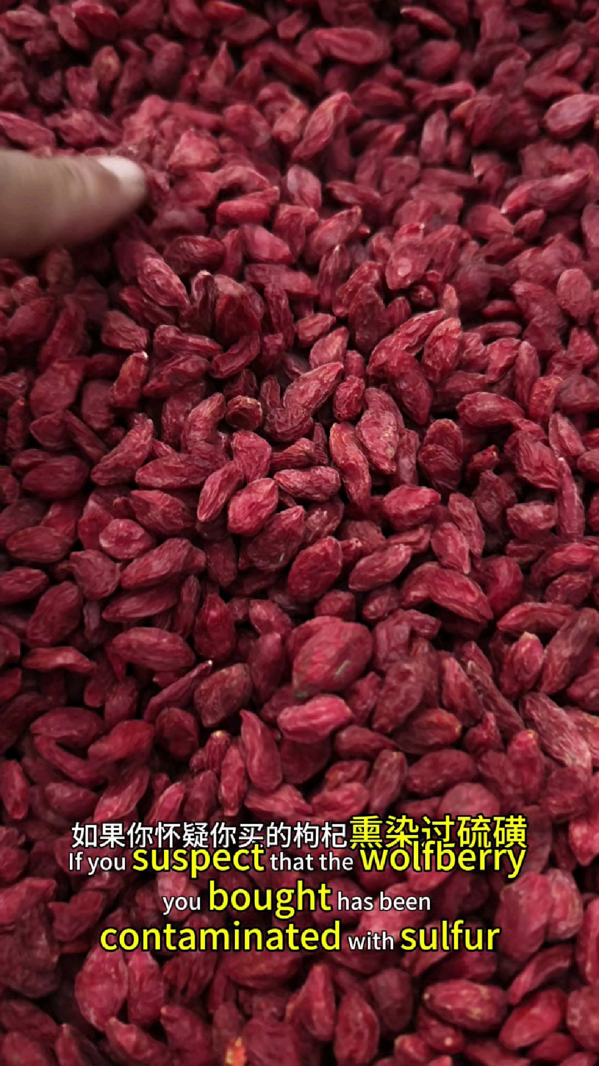枸杞熏染硫磺,浸泡护色剂,用这个方法一测一个准,转发给家人吧
