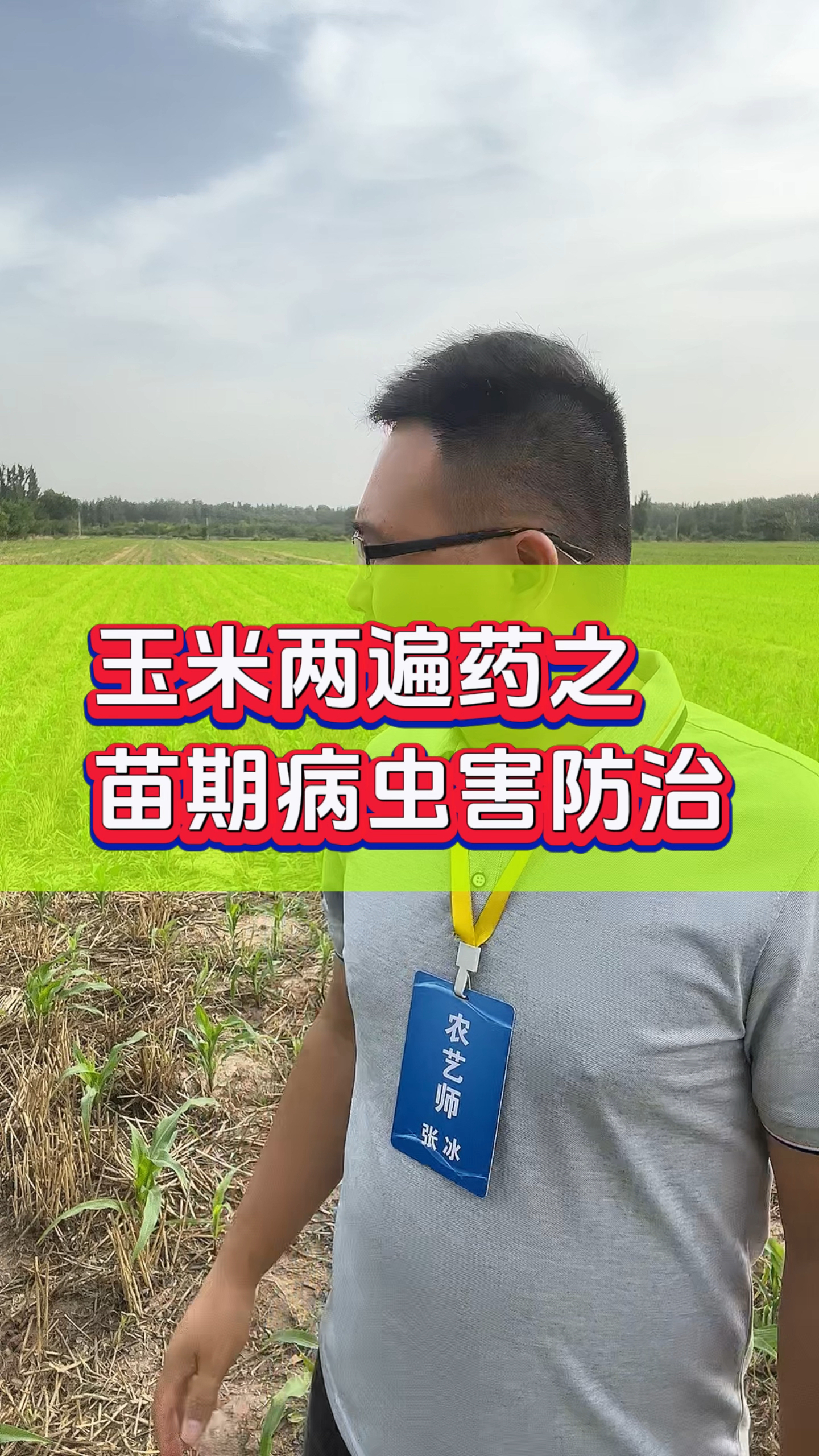 玉米两遍药之苗期病虫害防治