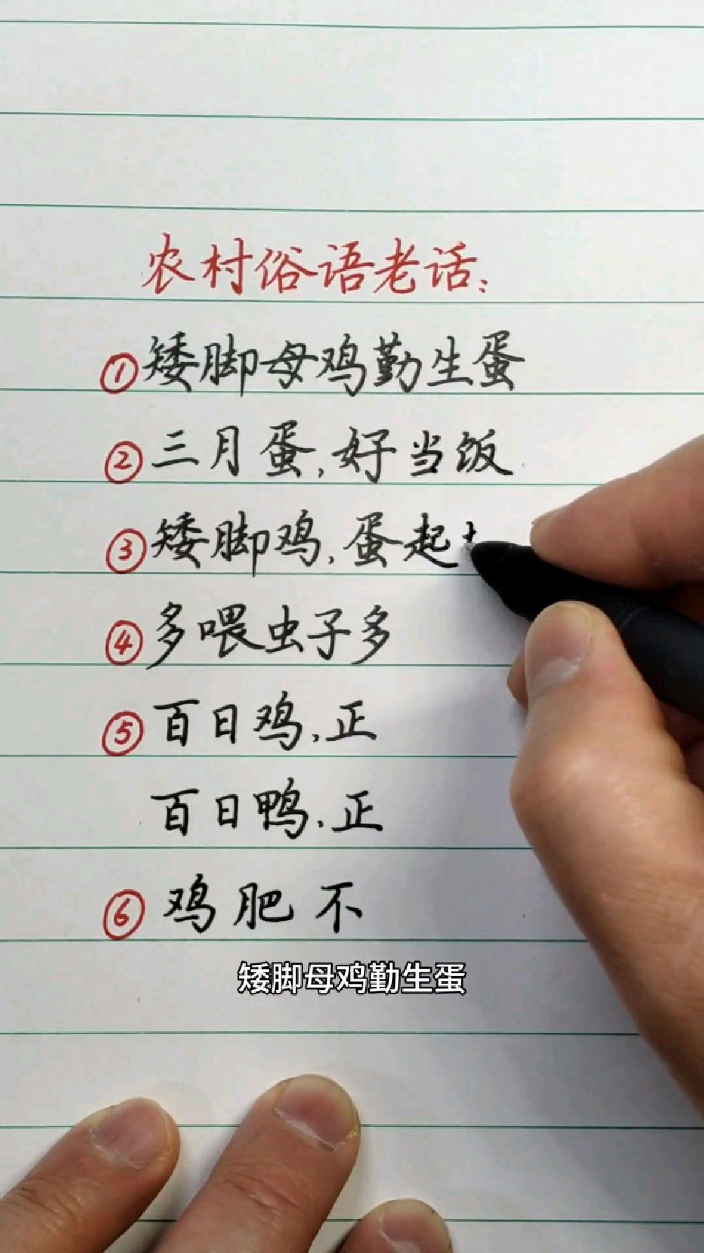 农村的俗语老话:矮脚母鸡勤生蛋