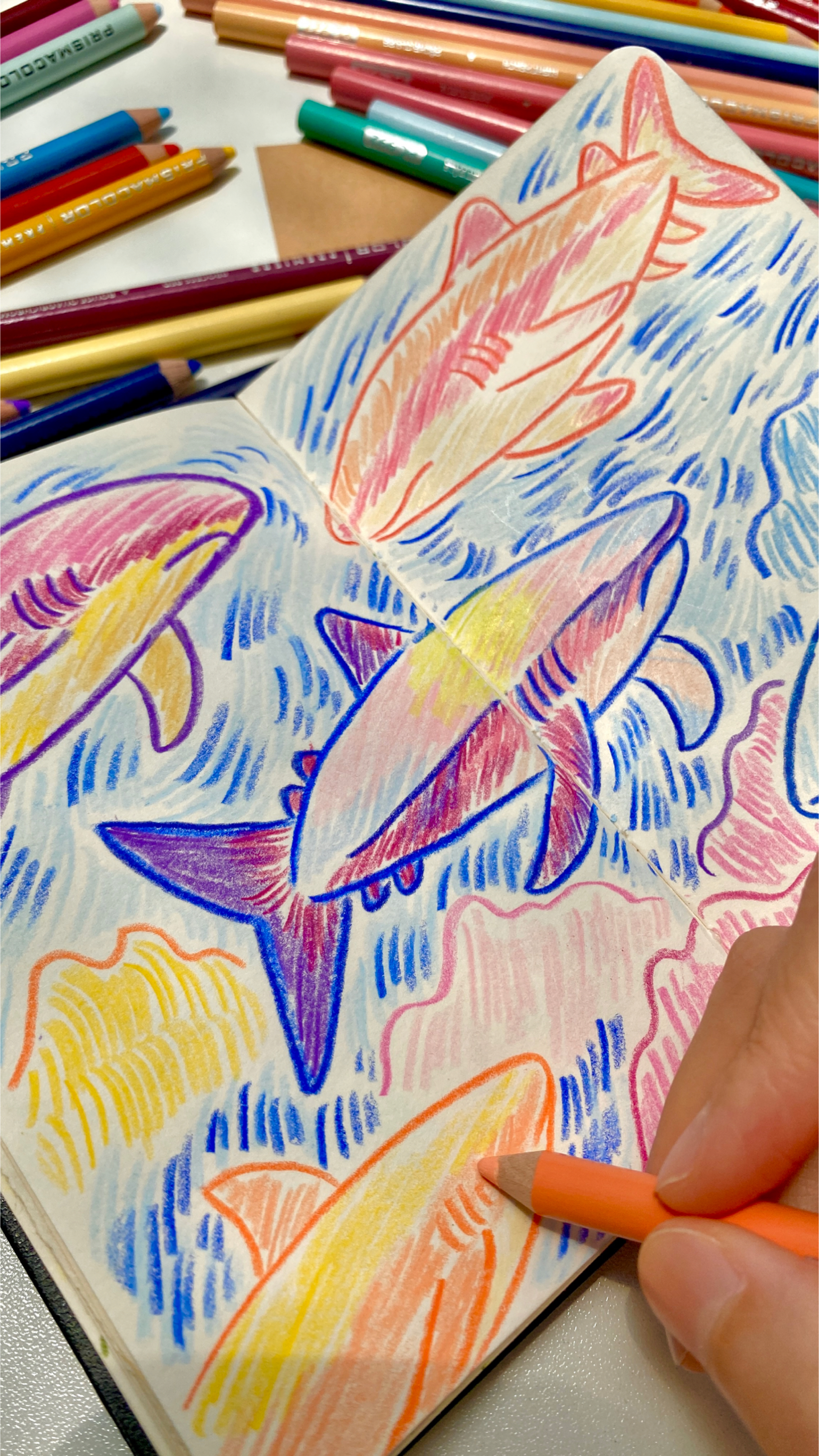 彩铅手绘各种鲨鱼简笔画海底世界治愈插画手帐