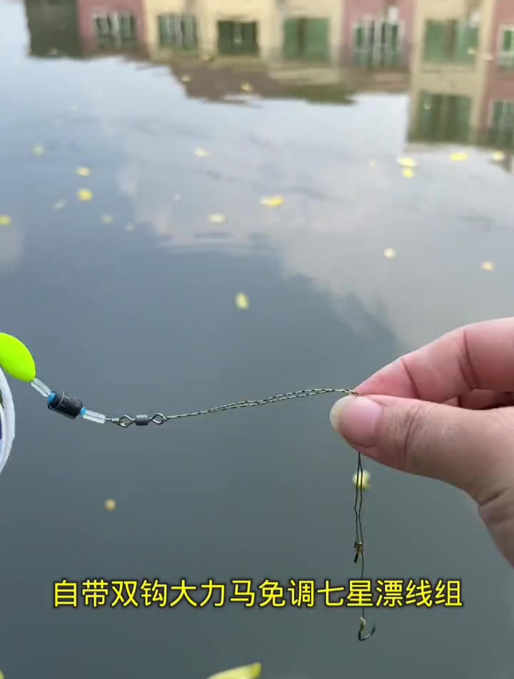 大力马七星漂和普通线组哪一种效果更好?1.0号线就能钓15斤鱼?