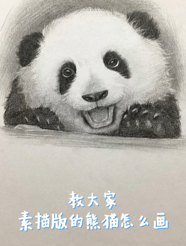 素描熊猫这么可爱,还不来学!