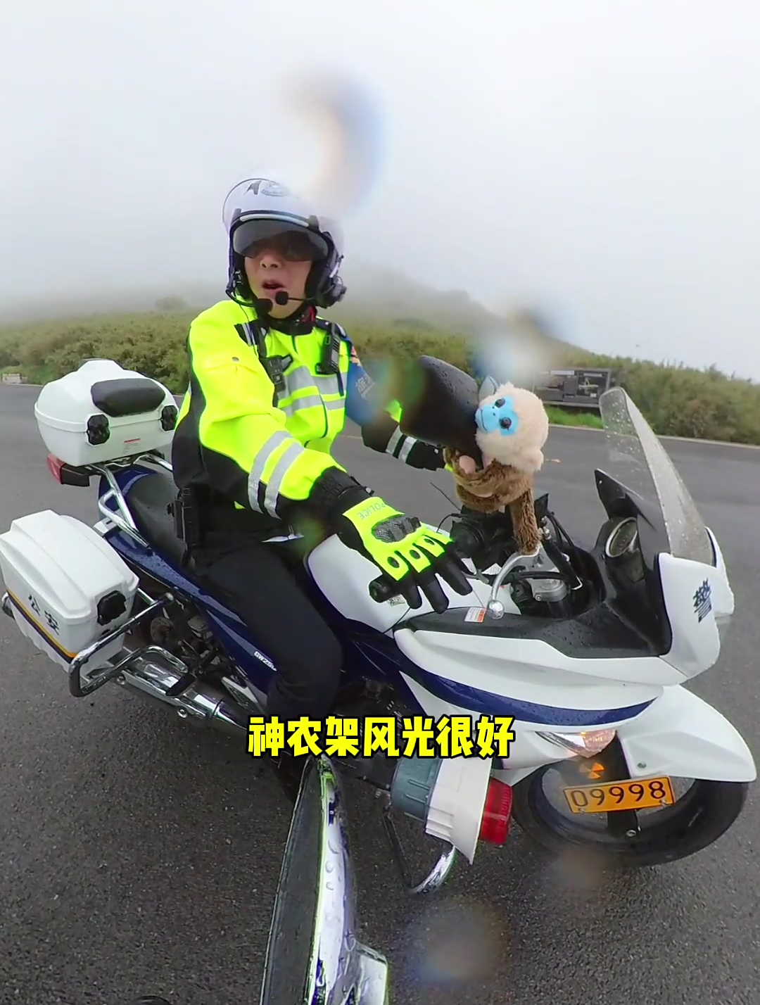 收获一只可爱的金丝猴,终于到神农架了