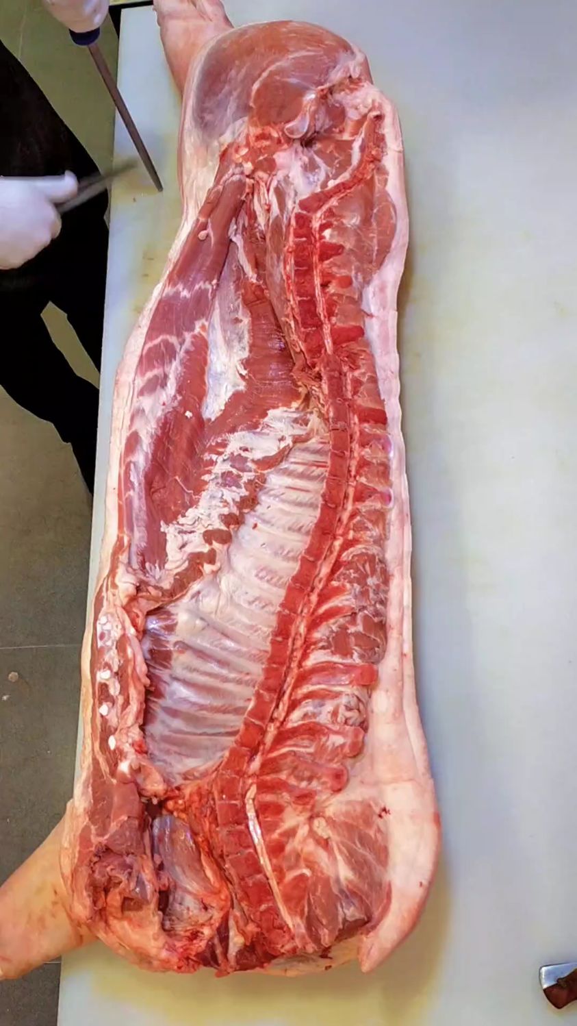 剔骨刀整猪分割肉详细