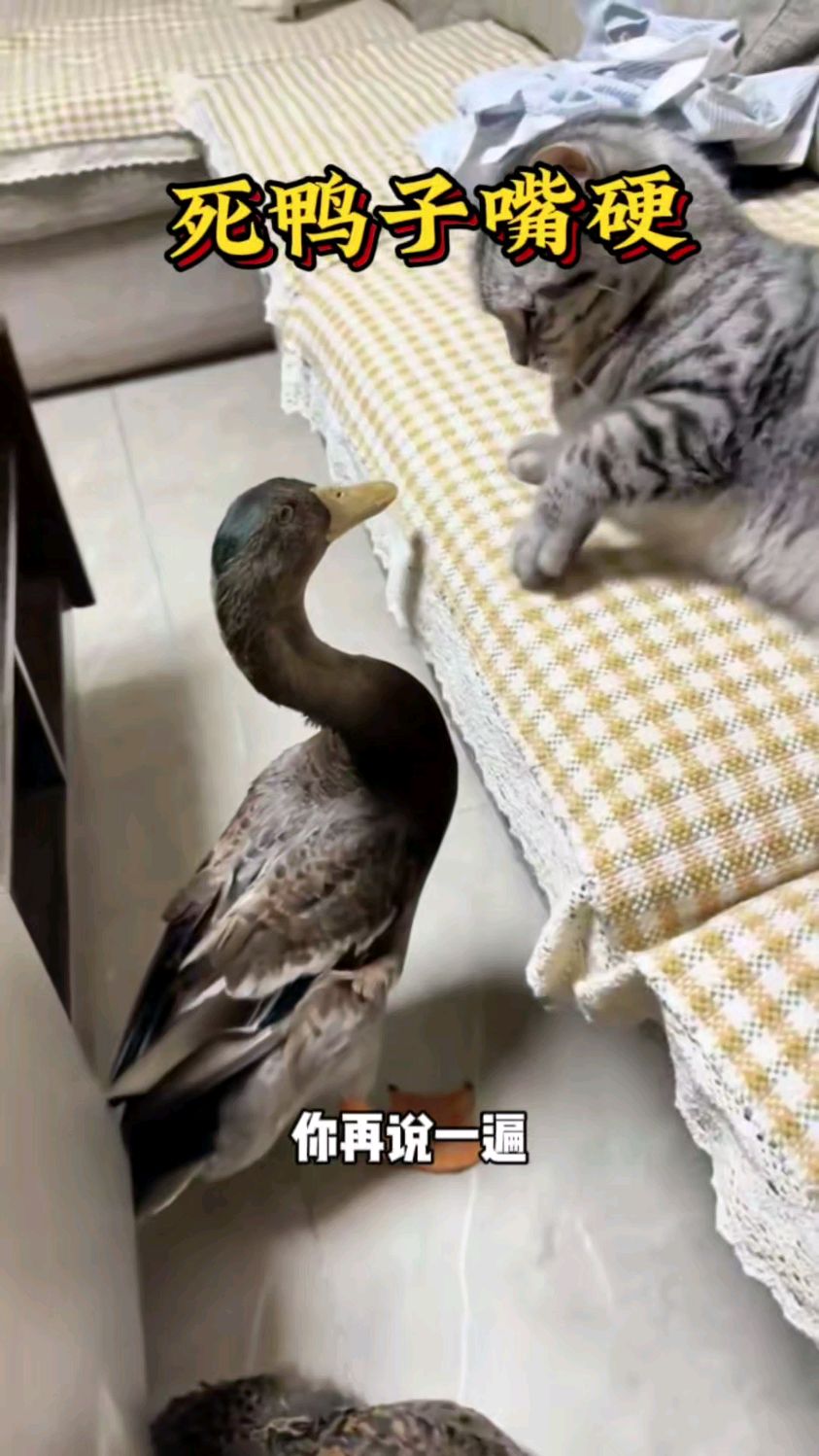 真是死鸭子嘴硬啊!