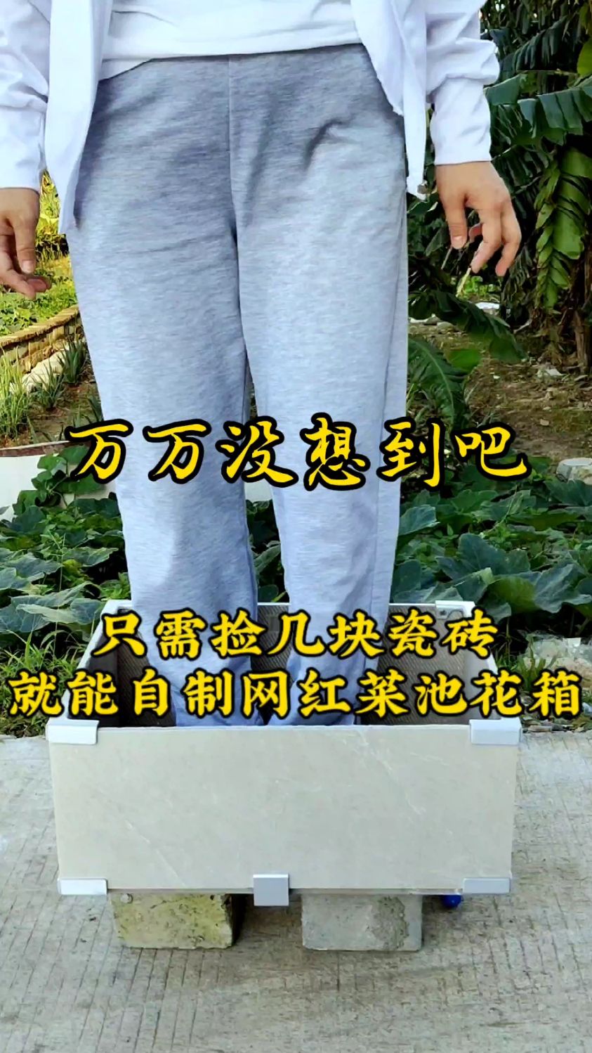 只需到垃圾堆捡几块废弃瓷砖,就能变废为宝自制网红种菜池种花箱