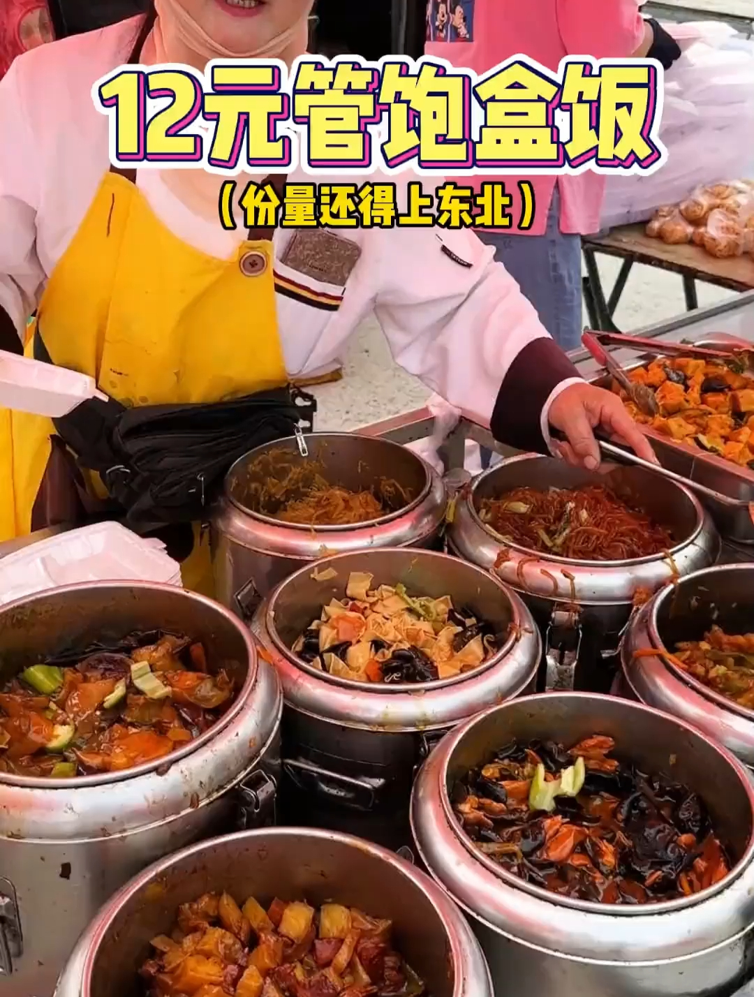 东北12元一份的盒饭,随便打管饱