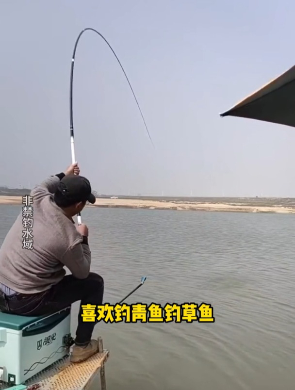 钓青鱼首选饵料是什么?除了螺蛳还有什么选择吗?