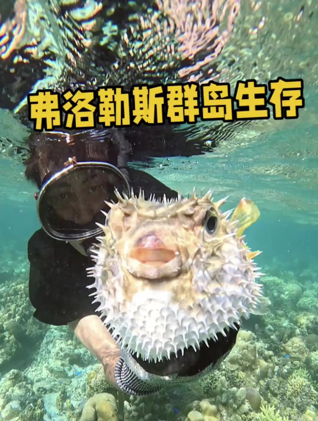 制作蒸馏海水装置后开始潜水,本以为轻松收获很多,恰恰相反!