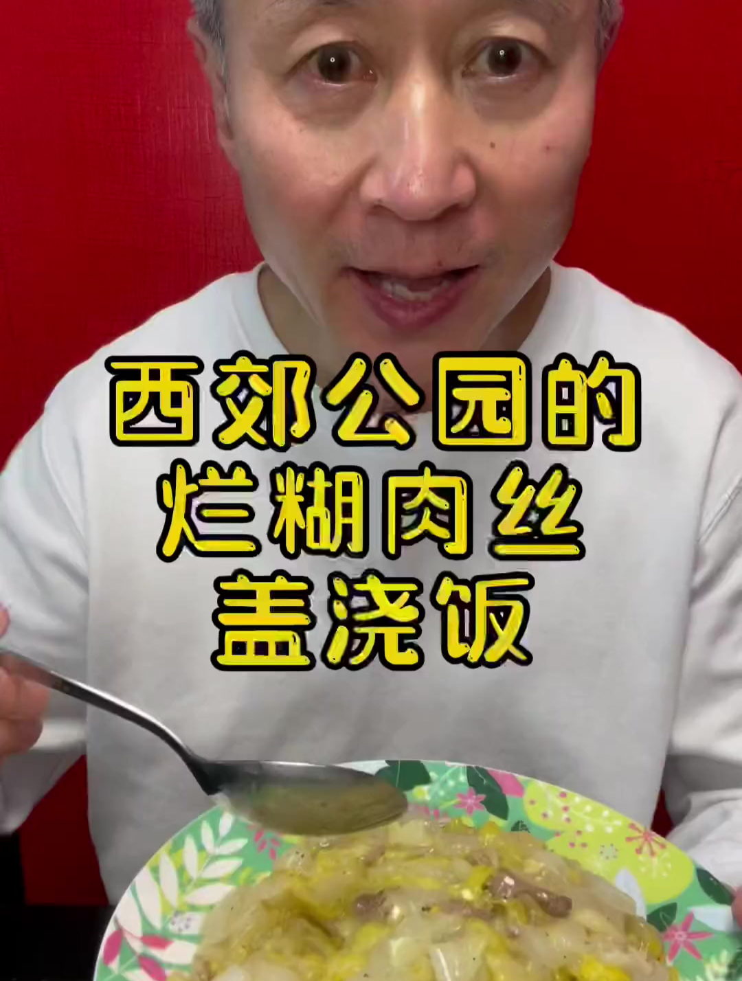 烂糊肉丝盖浇饭来啦