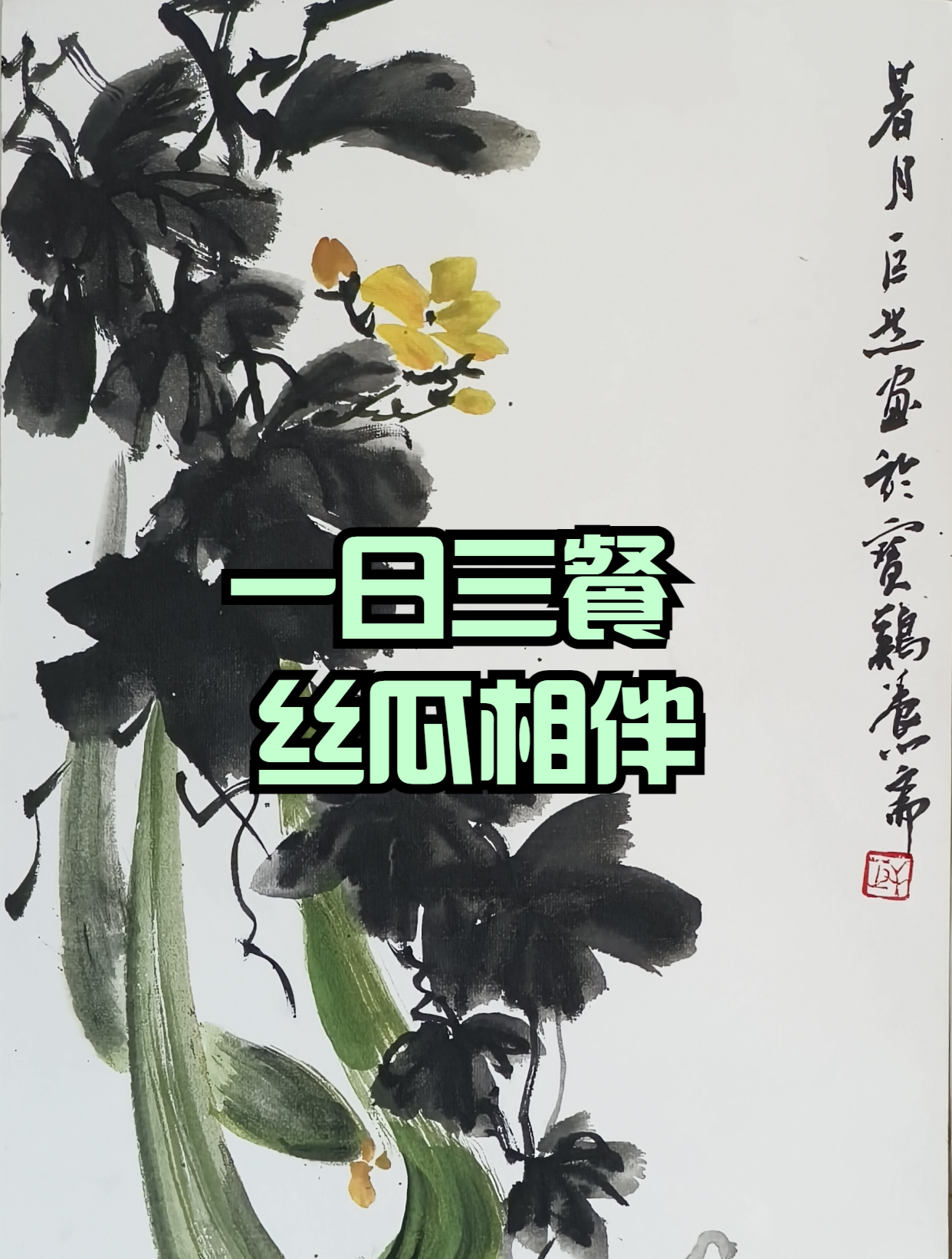 一日三餐农家小院丝瓜陪伴