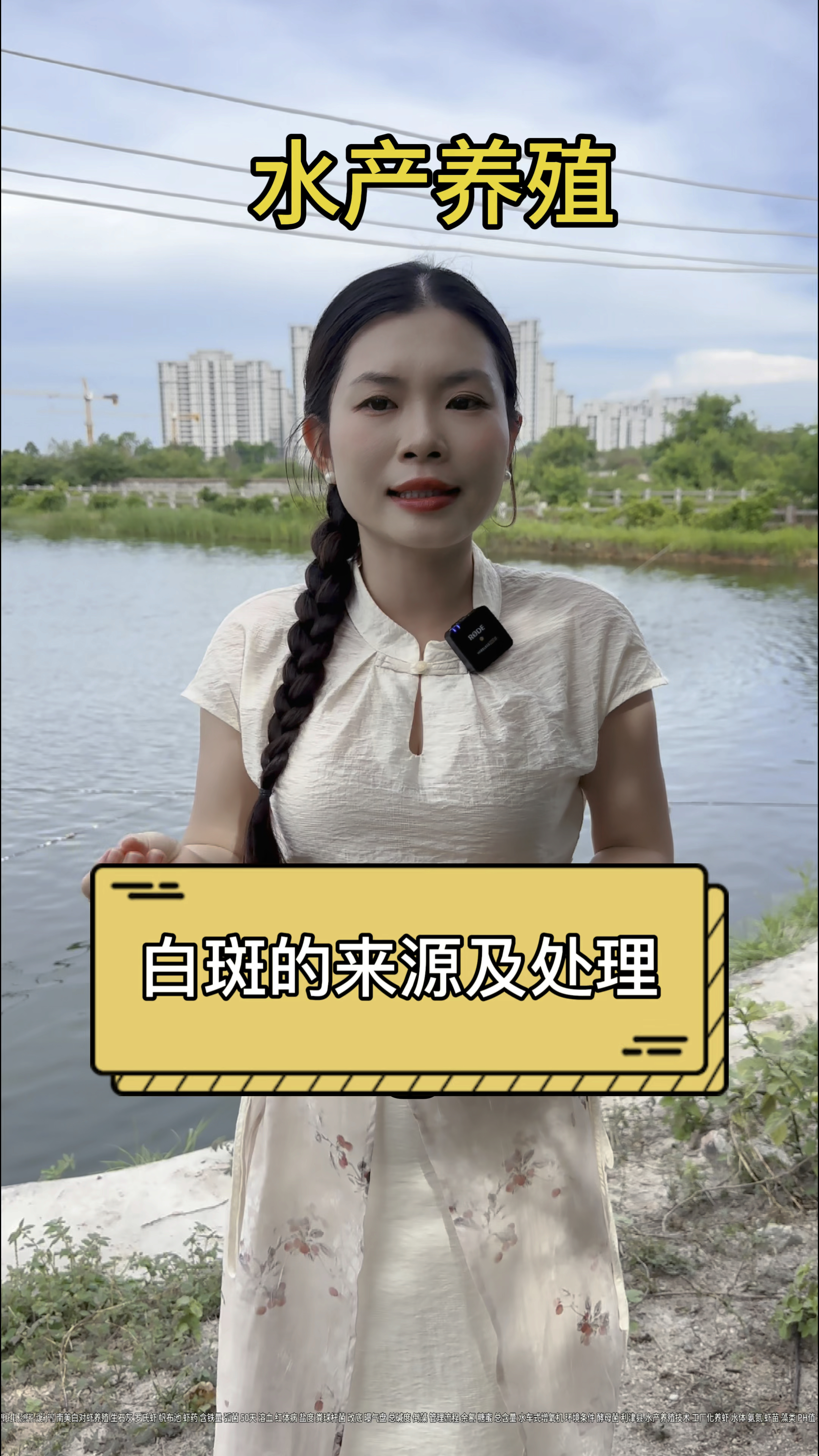 白斑的来源及处理#小龙虾养殖 #水产养殖技术 #养虾人