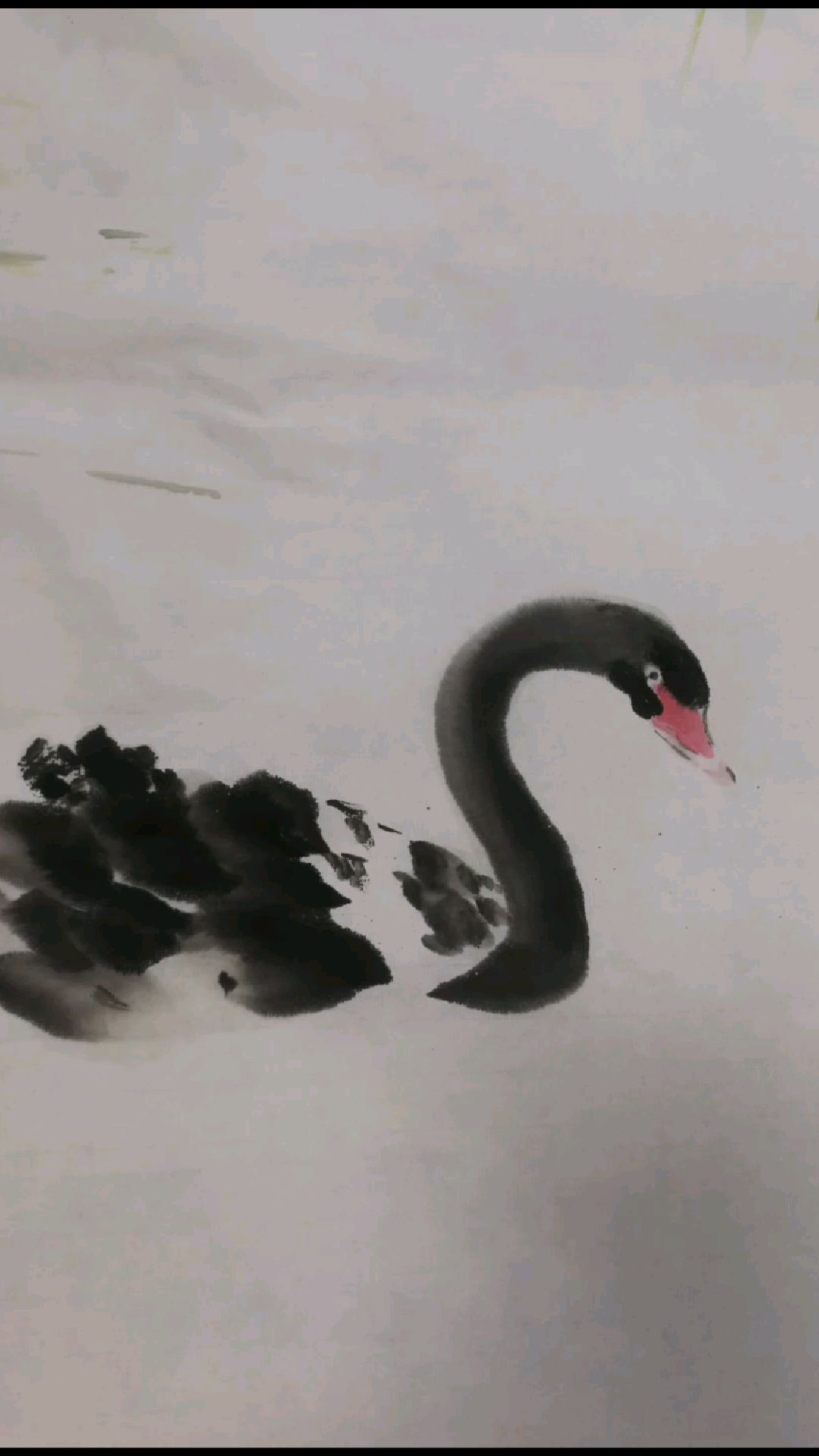 一分钟看懂水墨写意黑天鹅技法(上官天遐教你画国画)