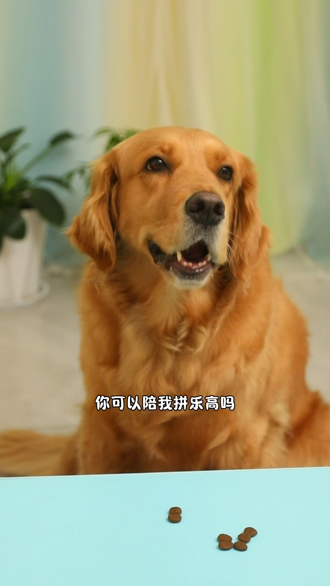 奶茶只有一个烟卡了