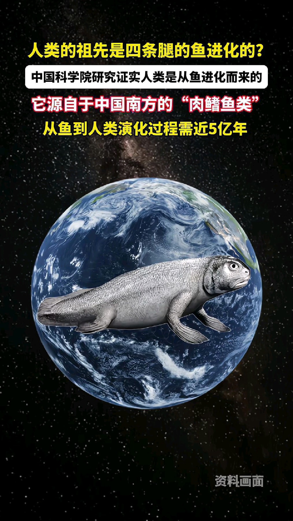 人类的祖先是四条腿的鱼进化的?从鱼到人类演化过程需5亿年!