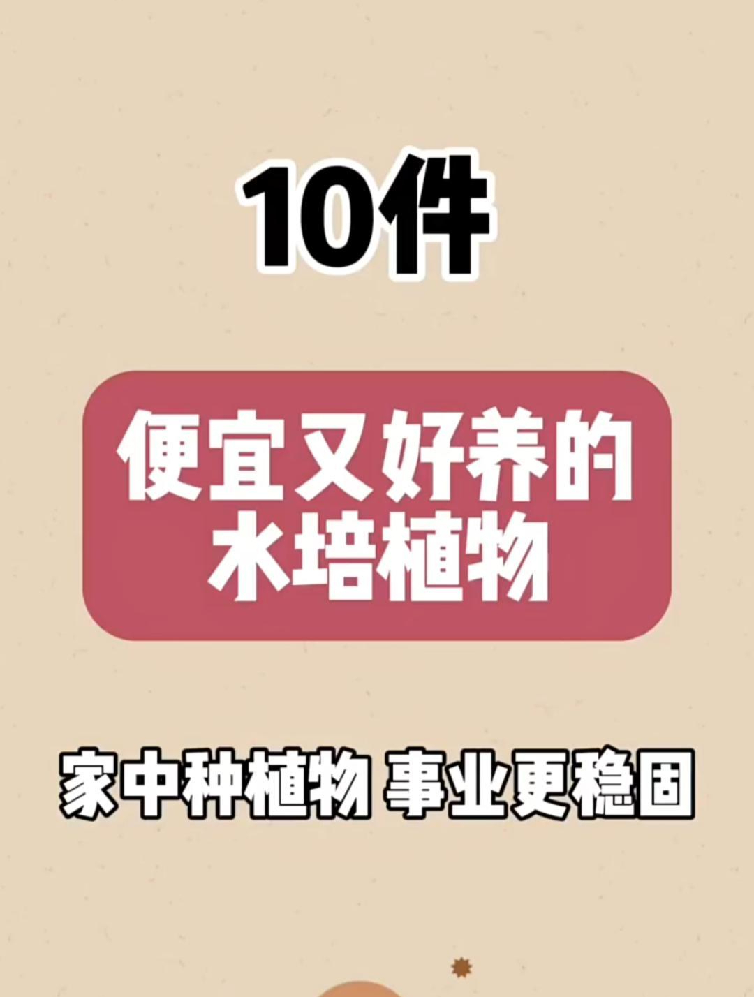 10件便宜又好养的水培植物,家中种植物,事业更稳固