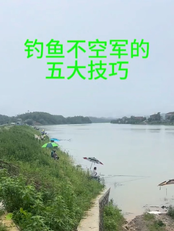 钓鱼想要不空军,老钓友总结这5大技巧!