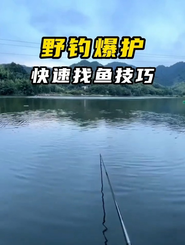 野钓想爆护,老钓友透露这4种快速找鱼技巧!