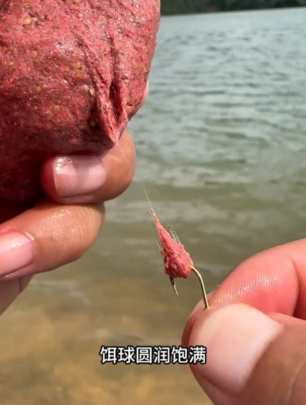 都知道钓溪流石斑马口鱼用面筋饵,但90%钓友用错方法!