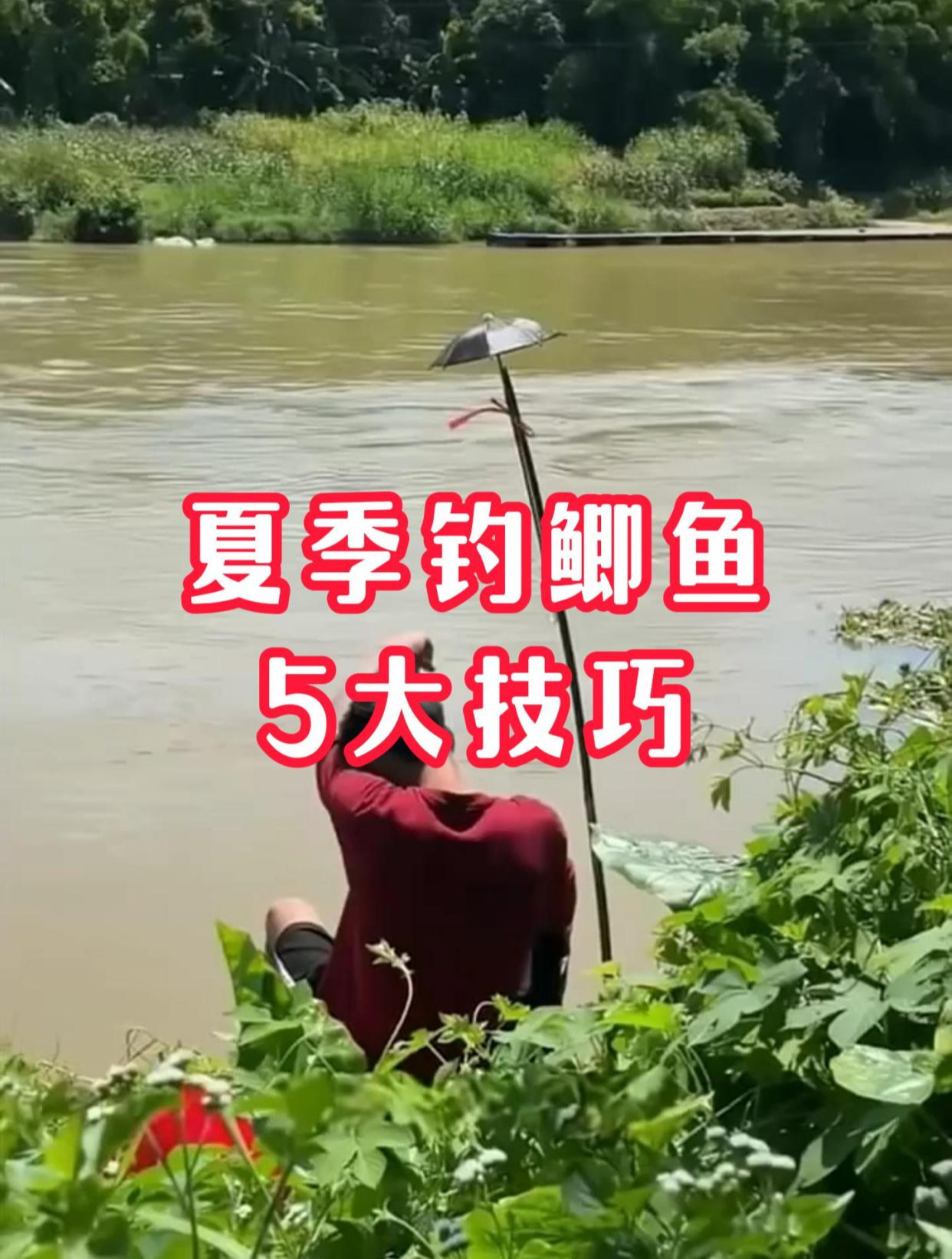 夏季钓鲫鱼,有5大技巧,学会绝不空军!