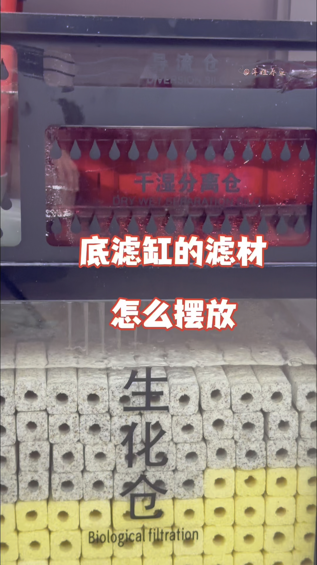 底滤缸的滤材怎么摆放,才能发挥zhui大作用#鱼缸过滤 #养鱼日记