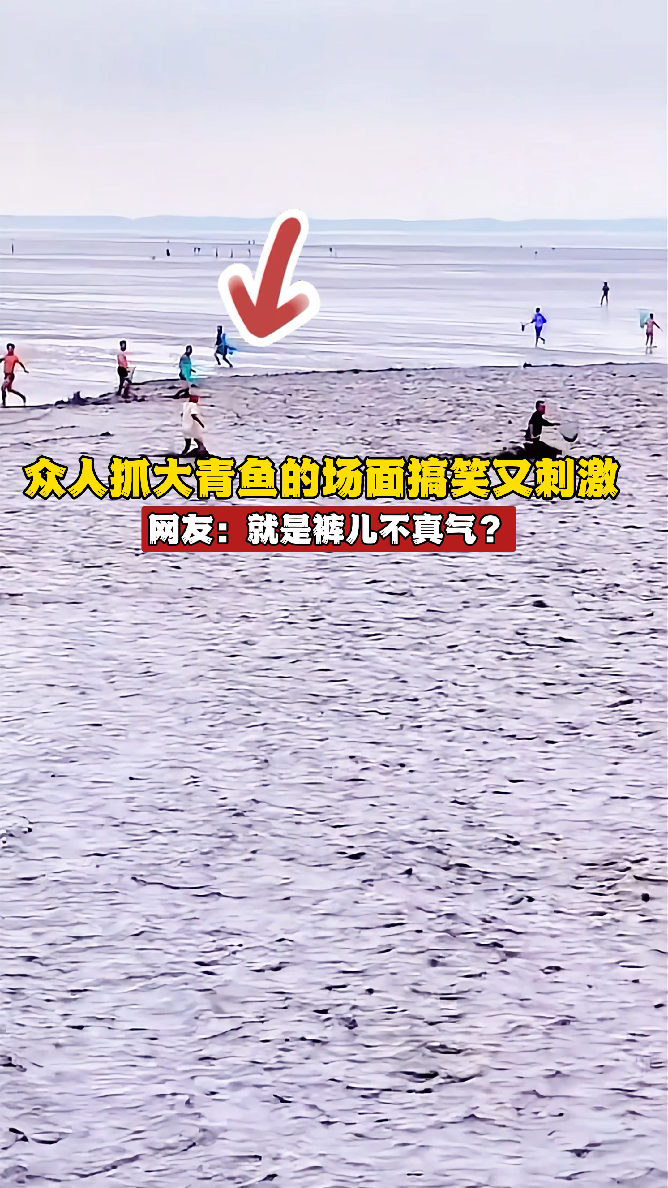 众人争夺40斤的大青鱼,场面搞笑又刺激!网友:就是裤子不真气?