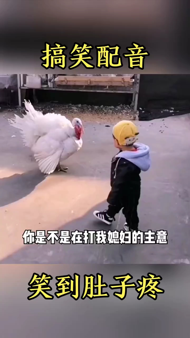 熊孩子与大鹅之间的较量!