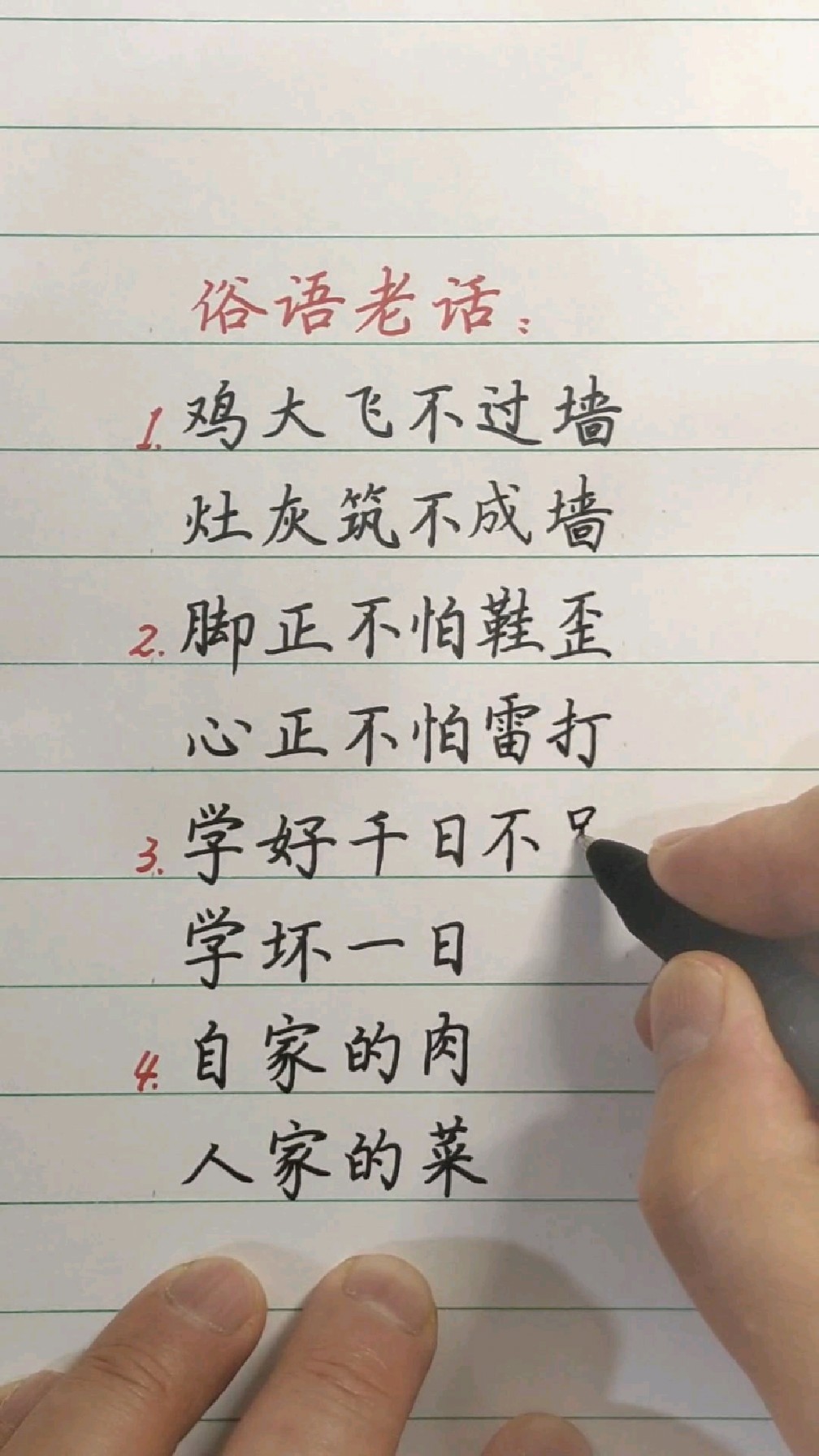 农村俗语:鸡大飞不过墙,灶灰筑不成墙