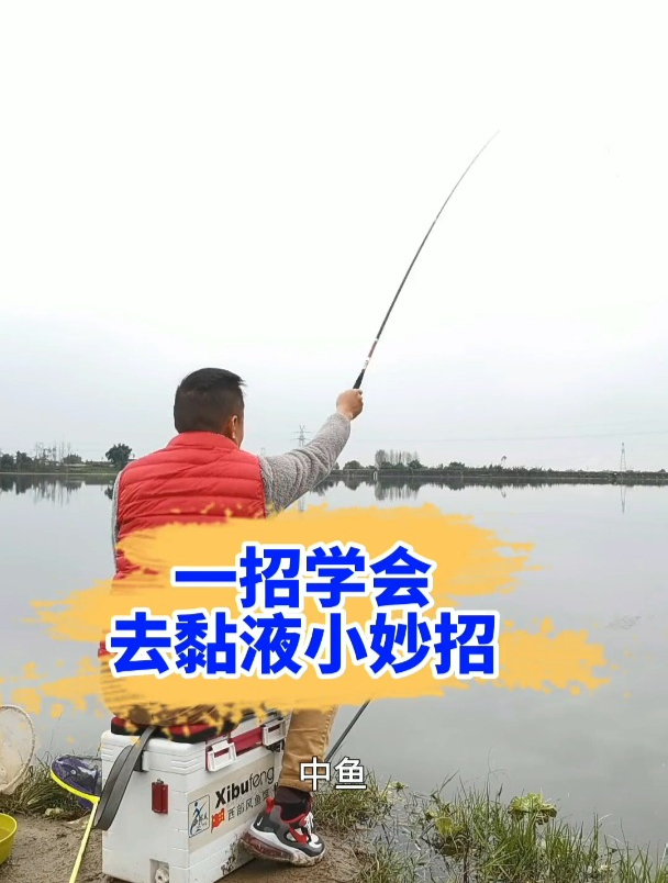 鲢鳙,红尾等鱼通常有很多黏液,我是这样去黏液的