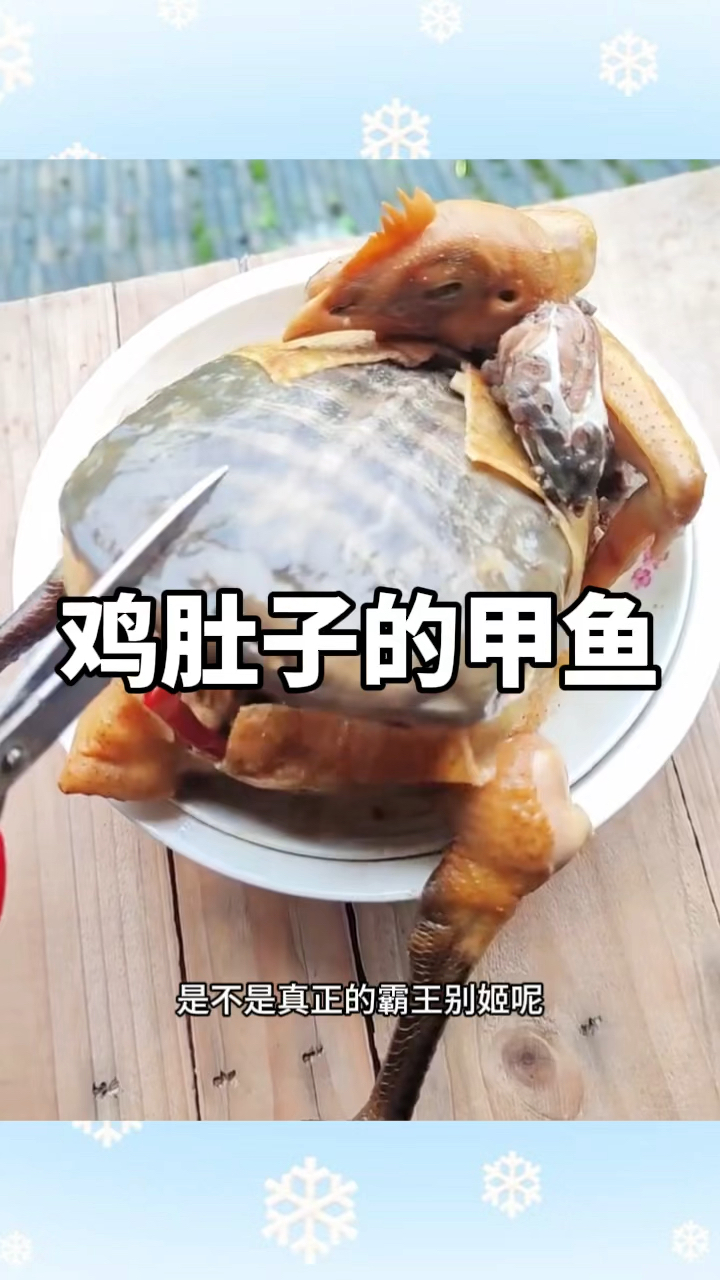 特色的美食,鸡肚子的甲鱼