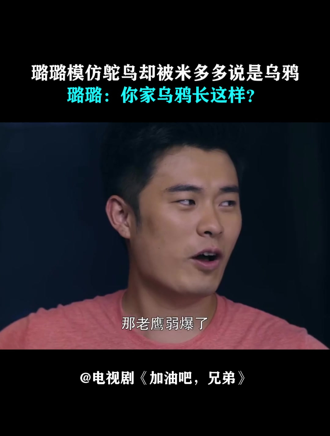 加油吧,兄弟:璐璐模仿鸵鸟却被说是乌鸦,璐璐:你家乌鸦这样?