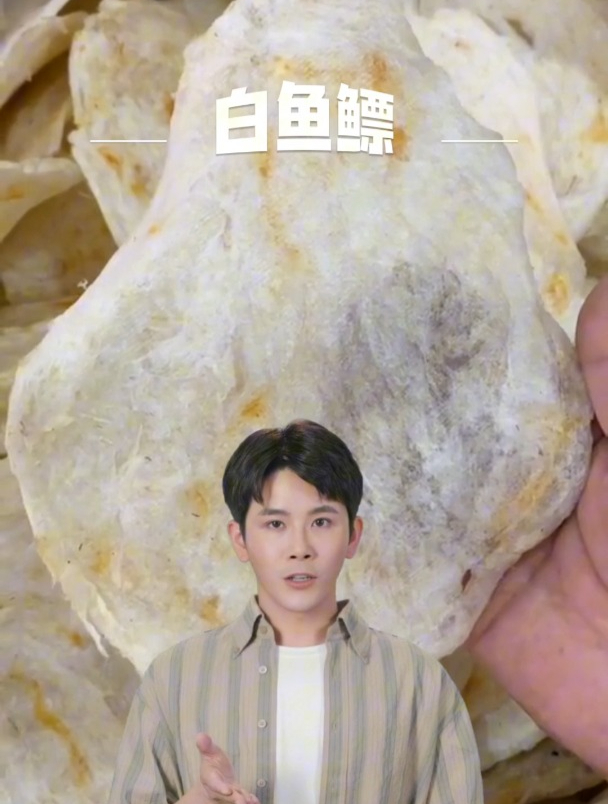 白鱼鳔是什么,请大家悉知