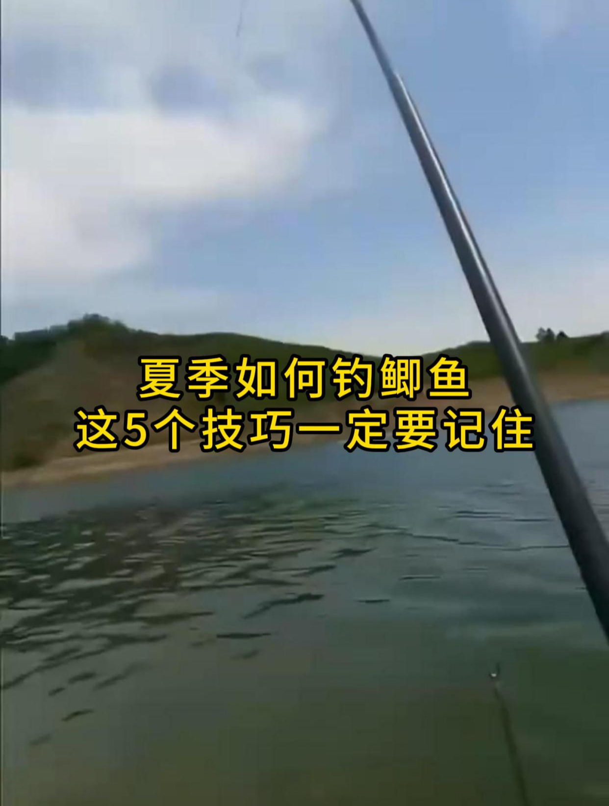 夏季如何钓鲫鱼,老钓手的5个技巧,真是实用!