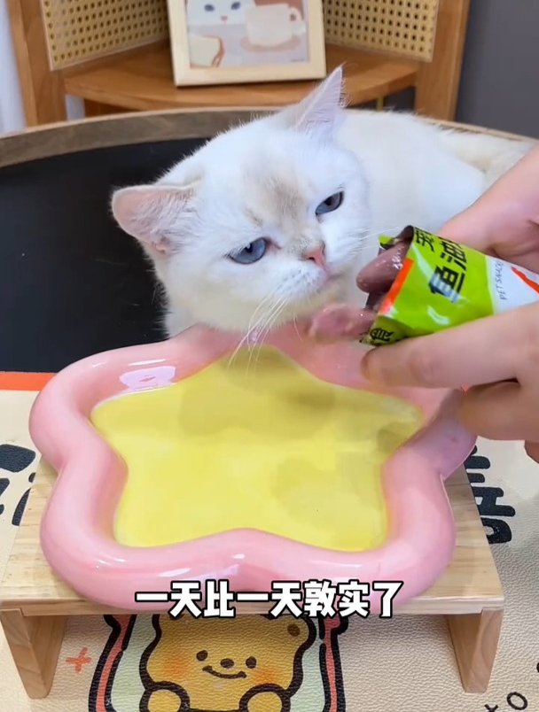 猫咪爱吃的蒸煮鸡心,还添加鱼油,维生素,牛磺酸,对猫咪太好了